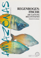 regenbogenfische_melanotaenia_1774948014
