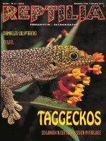 reptilia_02_taggeckos