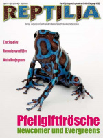 reptilia_102_pfeilgiftfroesche_newcomer_und_evergreens_2068155849