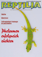 reptilia_105_phelsumen_erfolgreich_zuechten