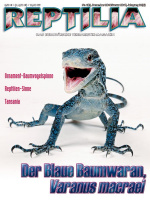 REPTILIA 122 – Der Blaue Baumwaran - Varanus macraei (digital)