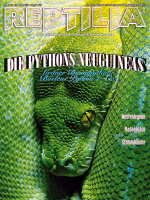 reptilia_127_die_pythons_neuguineas