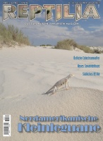 reptilia_131_-_nordamerikanische_kleinleguane