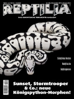 reptilia_135_sunset_stormtrooper__co_neue_koenigspython-morphen