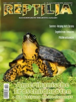 reptilia_144_-_amerikanische_erdschildkroeten_-_die_gattung_rhinoclemmys