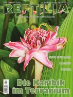 reptilia_157_-_die_karibik_im_terrarium