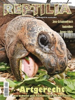 reptilia_159_-_artgerecht