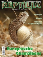 reptilia_163_-_europaeische_chamaeleons
