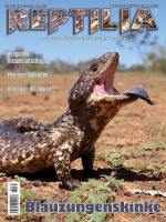 reptilia_165_-_blauzungenskinke