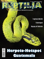 reptilia_166_herpeto-hotspot_guatemala