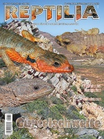 reptilia_171_-_guertelschweife_713456780