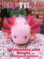 reptilia_172_-_salamander_und_molche_halten_und_zuechten