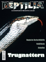 reptilia_173_-_trugnattern_45919979_28139201_796398999