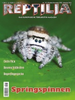 reptilia_175_-_springspinnen
