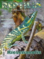 reptilia_176_-_riesenanolis