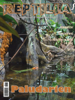 reptilia_177_-_paludarien_-_aquaterrarien_550509389