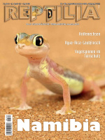 reptilia_180_-_namibia_1978976286