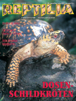 reptilia_42_dosenschildkroeten