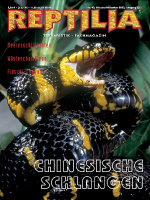 reptilia_44_chinesische_schlangen