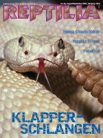 reptilia_66_klapperschlangen