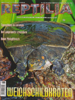 reptilia_68_weichschildkroeten