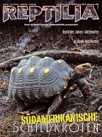 reptilia_80_suedamerikanische_schildkroeten