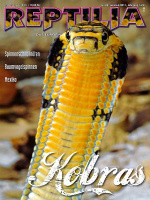reptilia_89_kobras