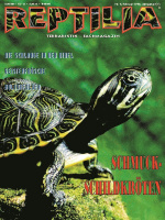 reptilia_9_schmuckschildkroeten