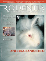 rodentia_13_angora-kaninchen