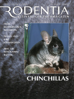 rodentia_1_chinchillas