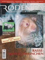 rodentia_22_rassemeerschweinchen