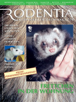 rodentia_24_frettchen