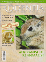 rodentia_35_afrikanische_rennmaeuse