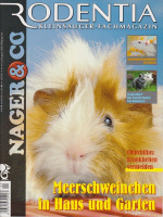 rodentia_44_meerschweinchen_im_haus_und_garten