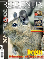 rodentia_79_degus