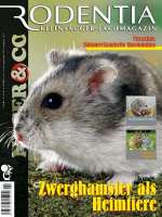 rodentia_91_zwerghamster