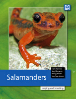 salamanders_softcover