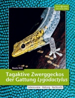 tagaktive_zwerggeckos_der_gattung_lygodactylus_9783866592278_cover