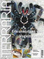 terraria_19_-_erkrankungen_von_vogelspinnen_richtig_behandeln