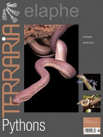 terraria_72_pythons