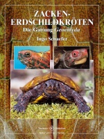 zacken-erdschildkroeten_1749931082