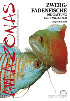 zwergfadenfische_trichogaster_314474427