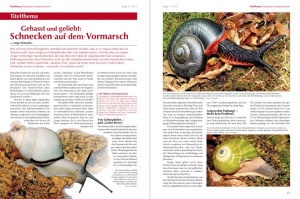 14_15kleiner