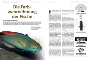 36-37_farbwahnehmung