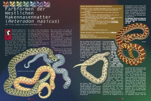 REPTILIA 88 – Der Scheltopusik (digital)