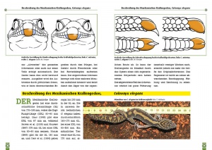 Blick ins Buch: Seite 8 und 9