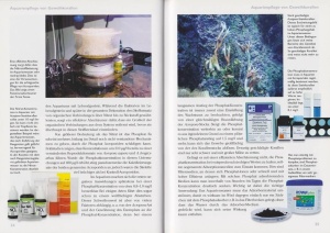 acropora_-_geweihkorallen_im_meerwasseraquarium_1_2097140033