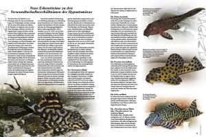 amazonas_nr__59_-_panzerwelse_im_aquarium_halten_und_vermehren_1_2110435000