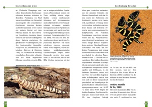 australische_samtgeckos_1_1585543010