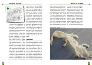 australische_samtgeckos_3